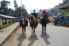 Horse-riding-in-ooty-scaled